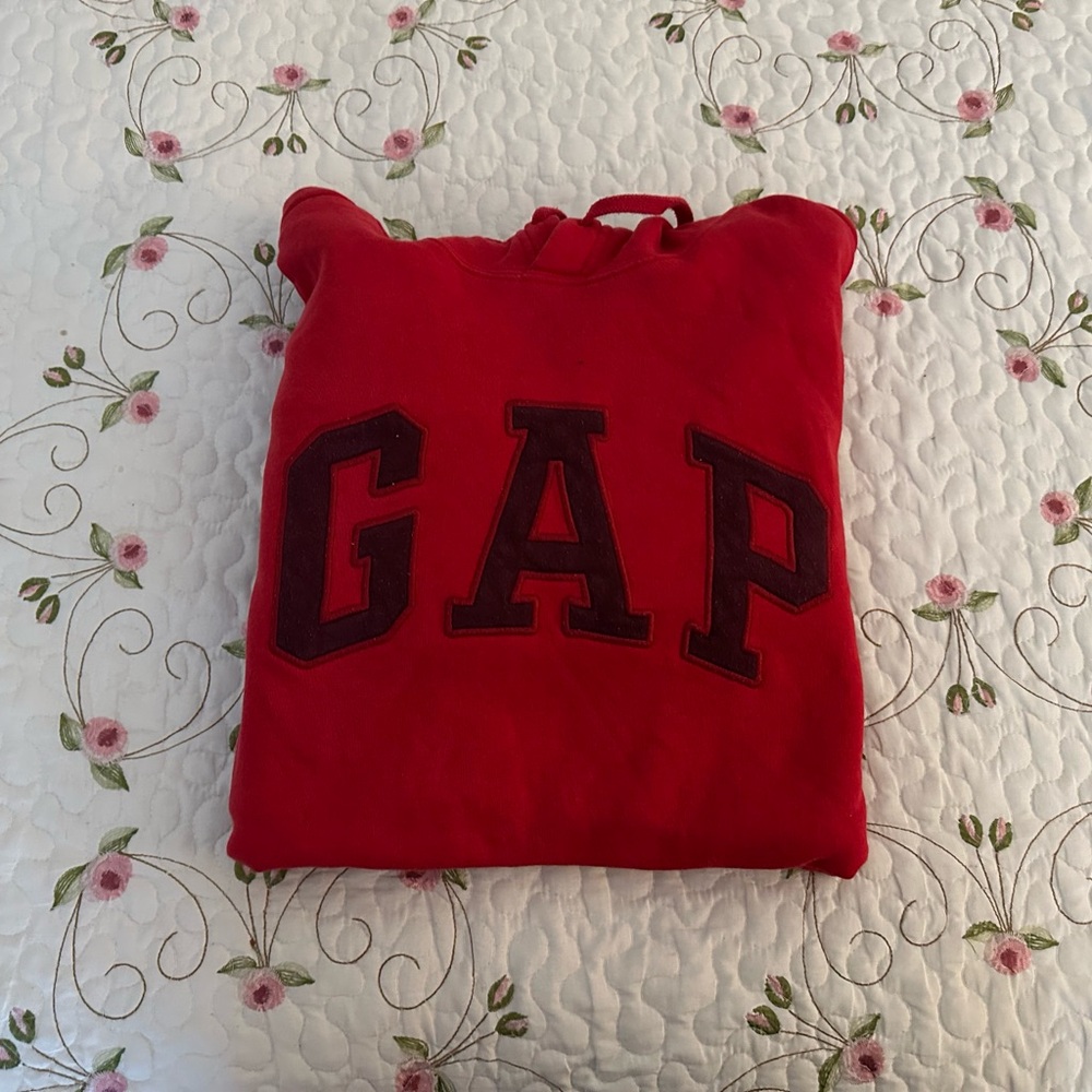 Gap Hoodie